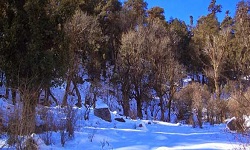Brahmatal trek