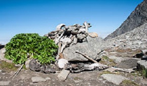 roopkund trek